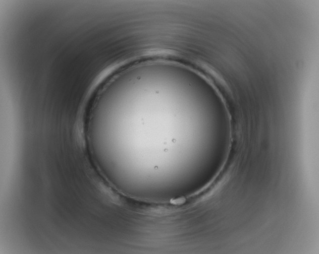 X0000114141022200910081300