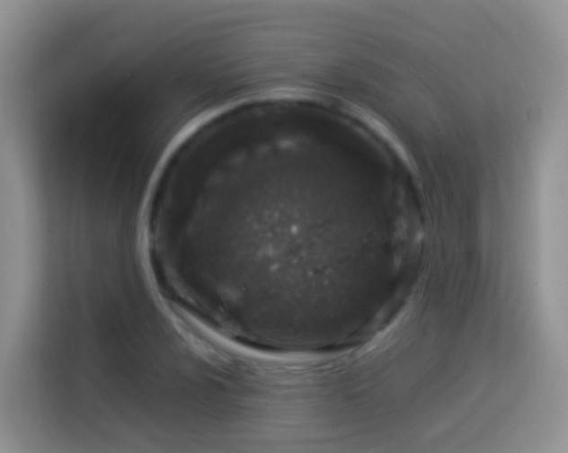 X0000114141024200910081301