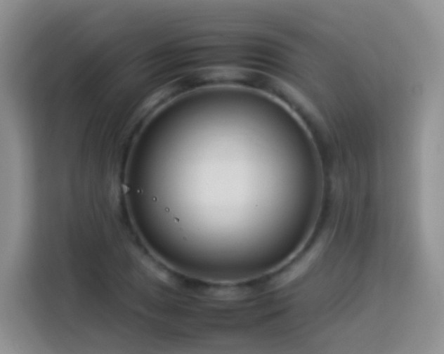 X0000114141025200910081301