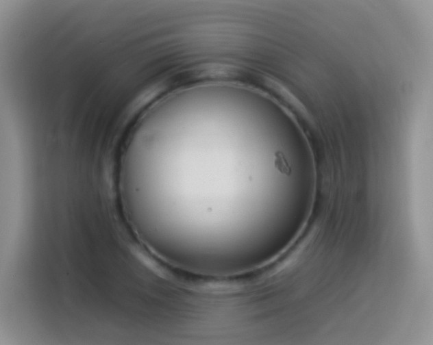 X0000114141026200910081301