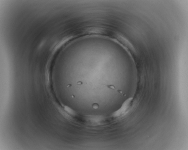 X0000114141027200910081301