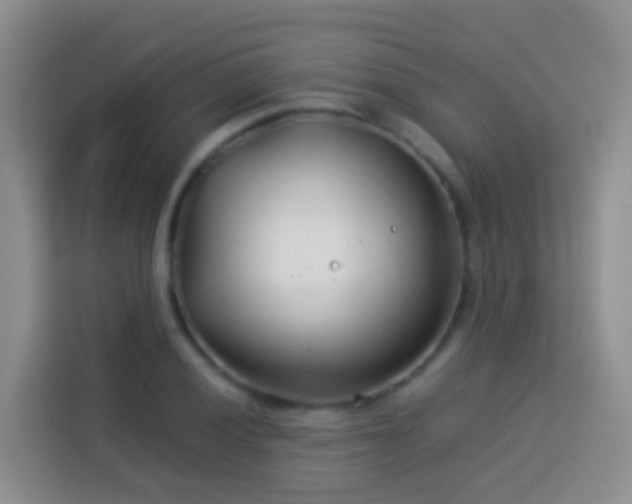 X0000114141028200910081301