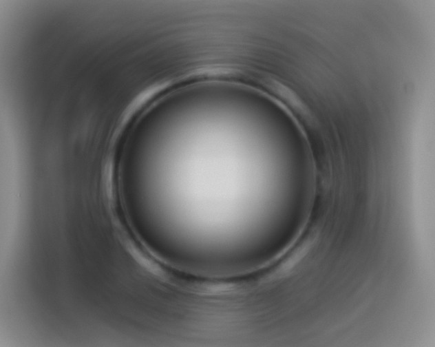 X0000114141030200910081301