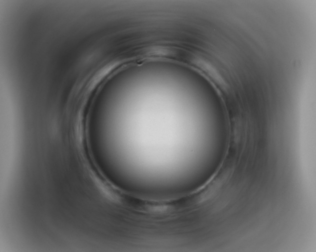 X0000114141031200910081301