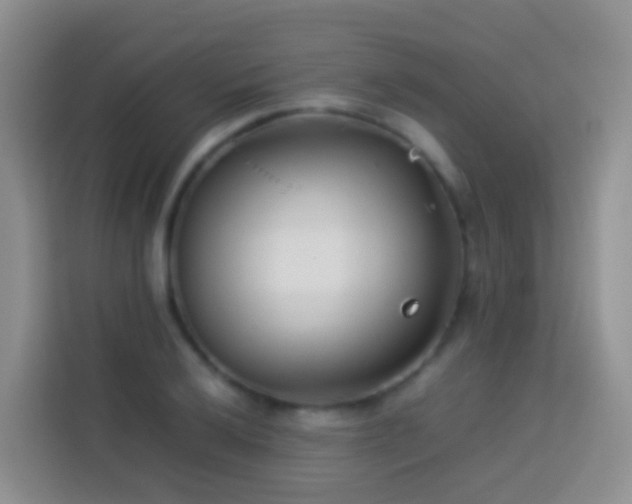 X0000114141032200910081301