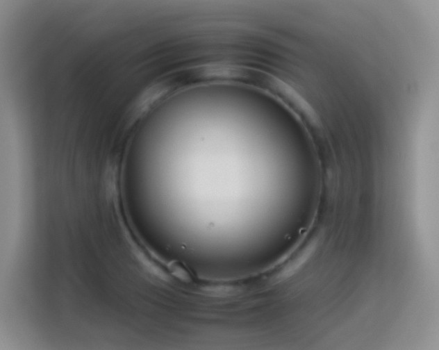 X0000114141033200910081301