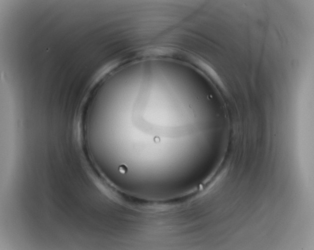 X0000114141034200910081301