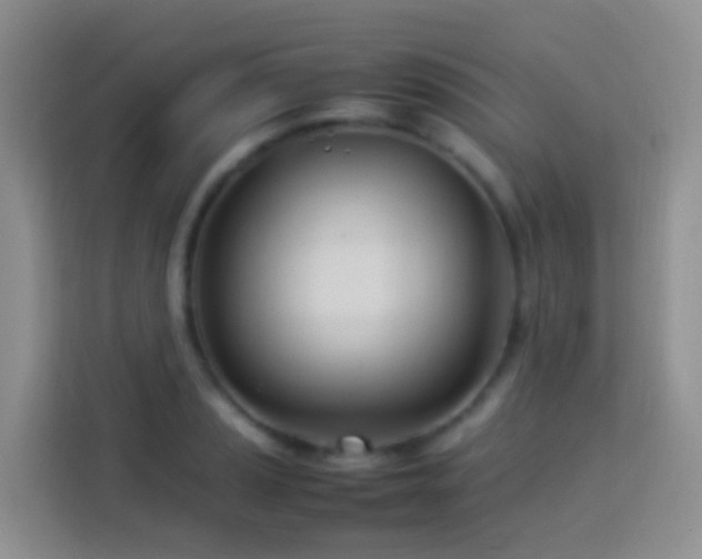 X0000114141037200910081301