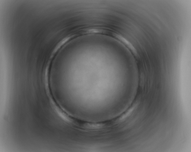 X0000114141039200910081301