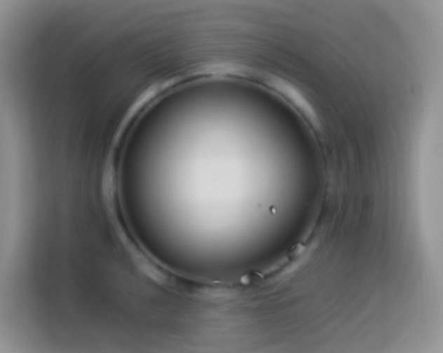 X0000114141040200910081301