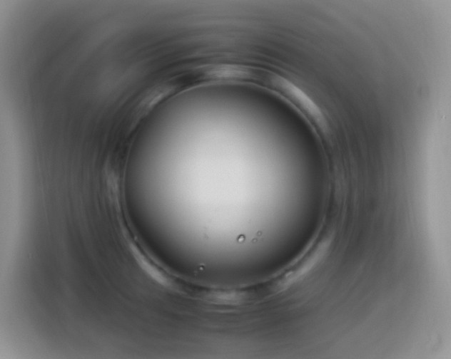 X0000114141041200910081301