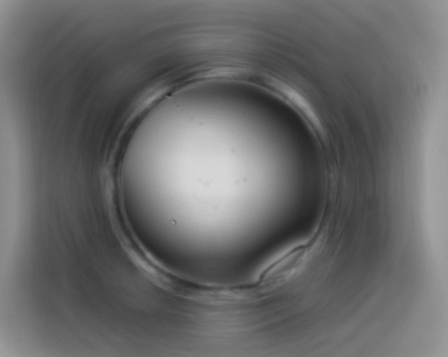 X0000114141042200910081301