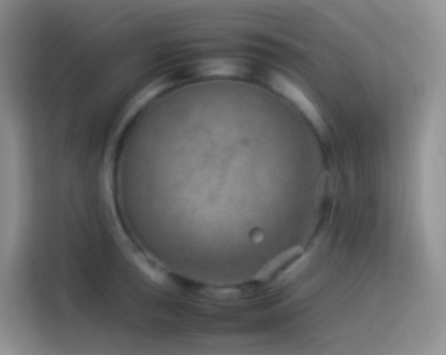 X0000114141043200910081301