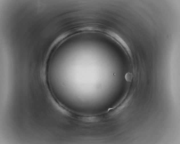 X0000114141045200910081301