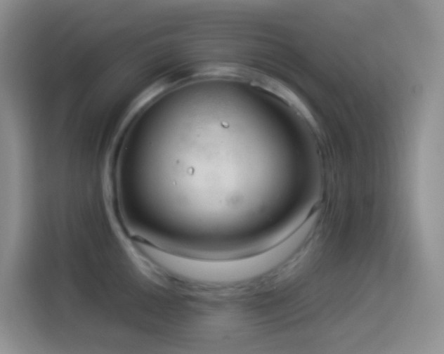 X0000114141050200910081301