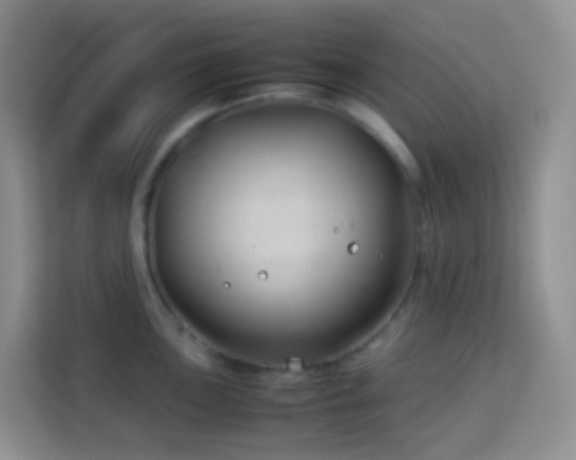 X0000114141051200910081301