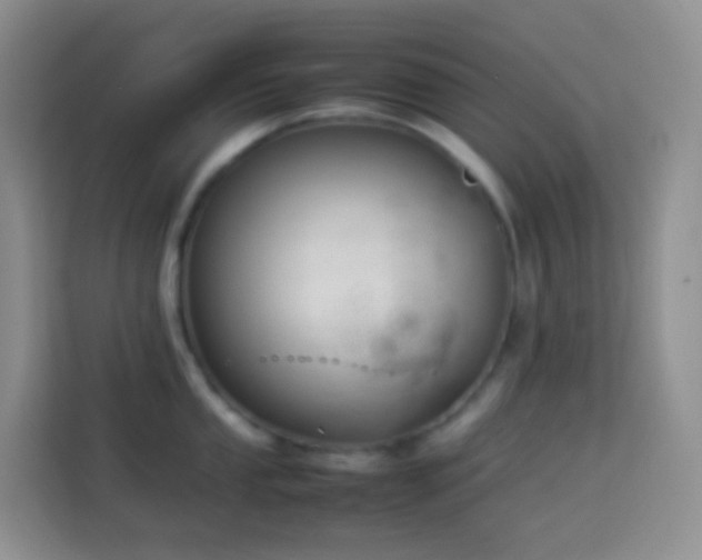 X0000114141053200910081301