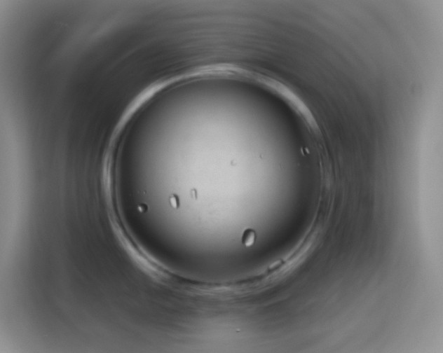 X0000114141054200910081301