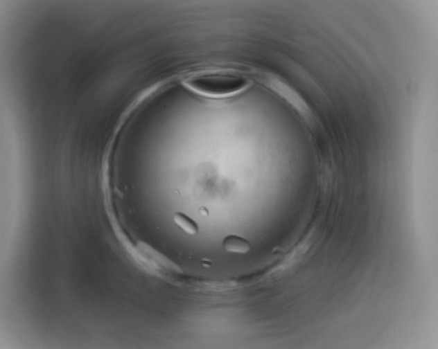 X0000114141055200910081301