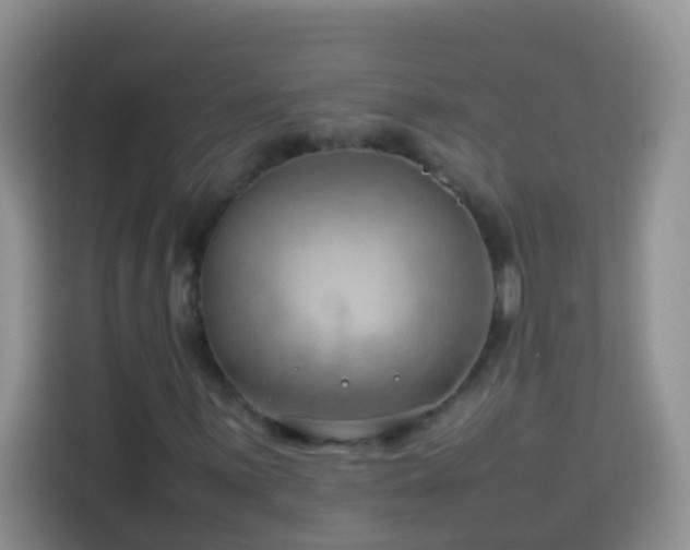 X0000114141059200910081300