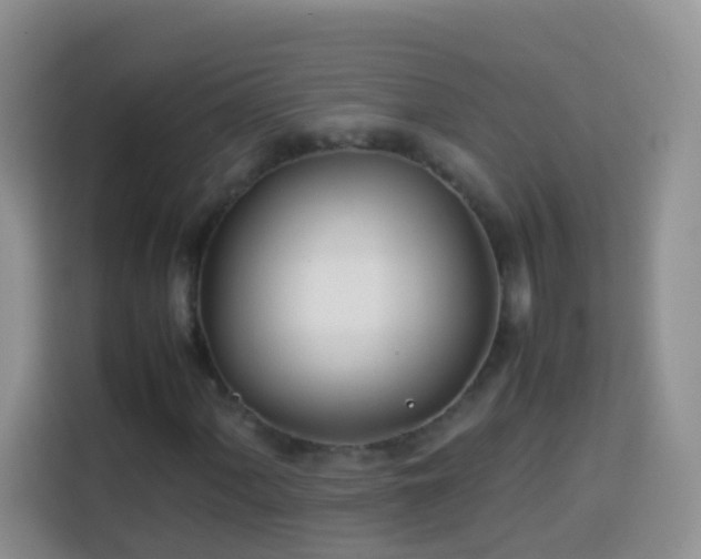 X0000114141060200910081300