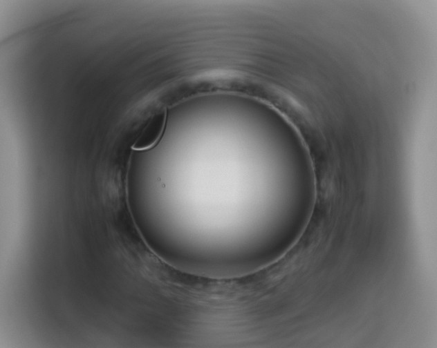 X0000114141062200910081300