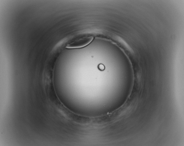 X0000114141064200910081300