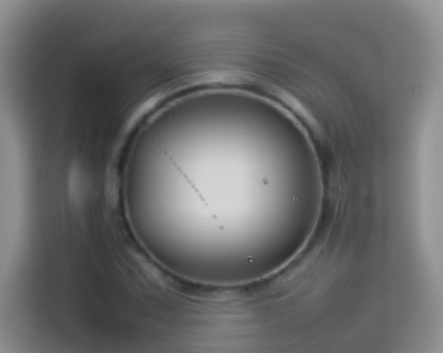 X0000114141067200910081300