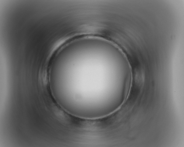 X0000114141069200910081300