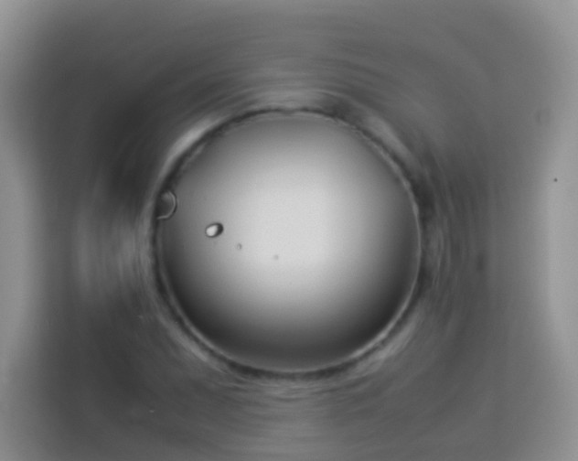 X0000114141071200910081300