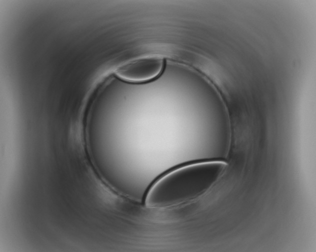 X0000114141072200910081300