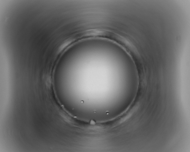 X0000114141073200910081300