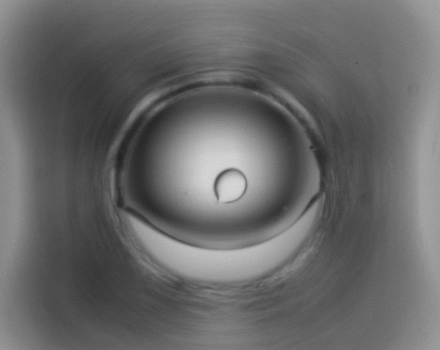 X0000114141075200910081300