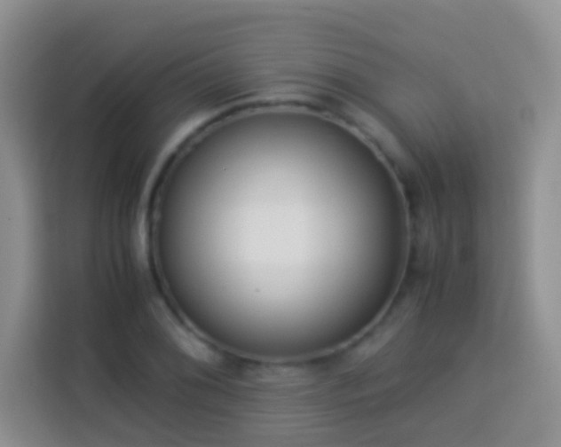 X0000114141076200910081300