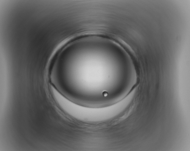 X0000114141077200910081300