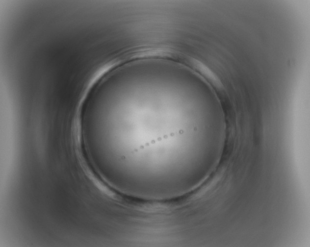 X0000114141079200910081300