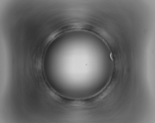 X0000114141081200910081300