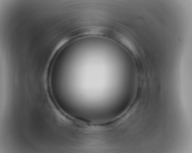 X0000114141087200910081300