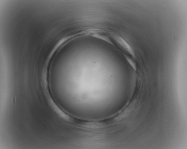 X0000114141091200910081300