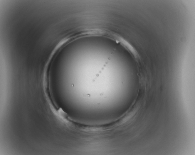 X0000114141095200910081300