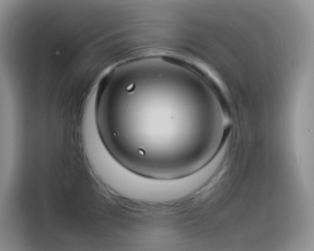 X0000114141097200910081300