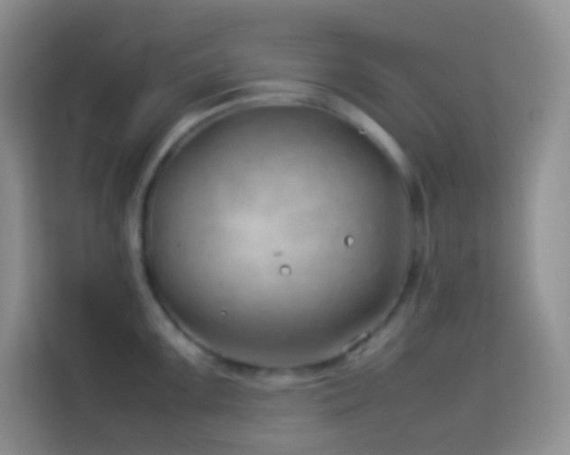 X0000114141099200910081300