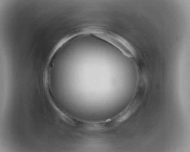 X0000114141101200910081300