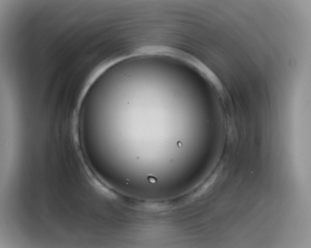 X0000114141102200910081300