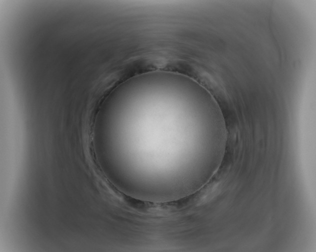 X0000114141105200910081259