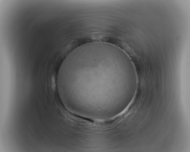 X0000114141106200910081259