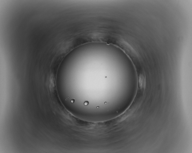 X0000114141107200910081259