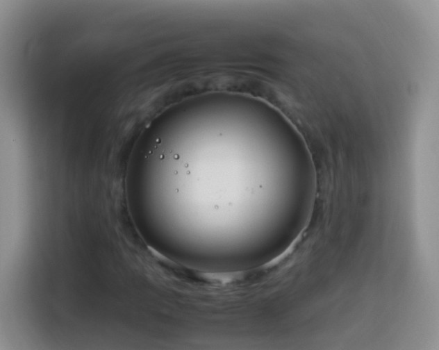 X0000114141109200910081259