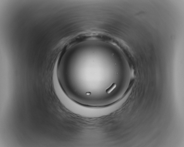 X0000114141110200910081259