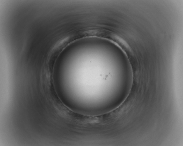 X0000114141111200910081259